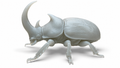 Giant Rhinoceros Beetle